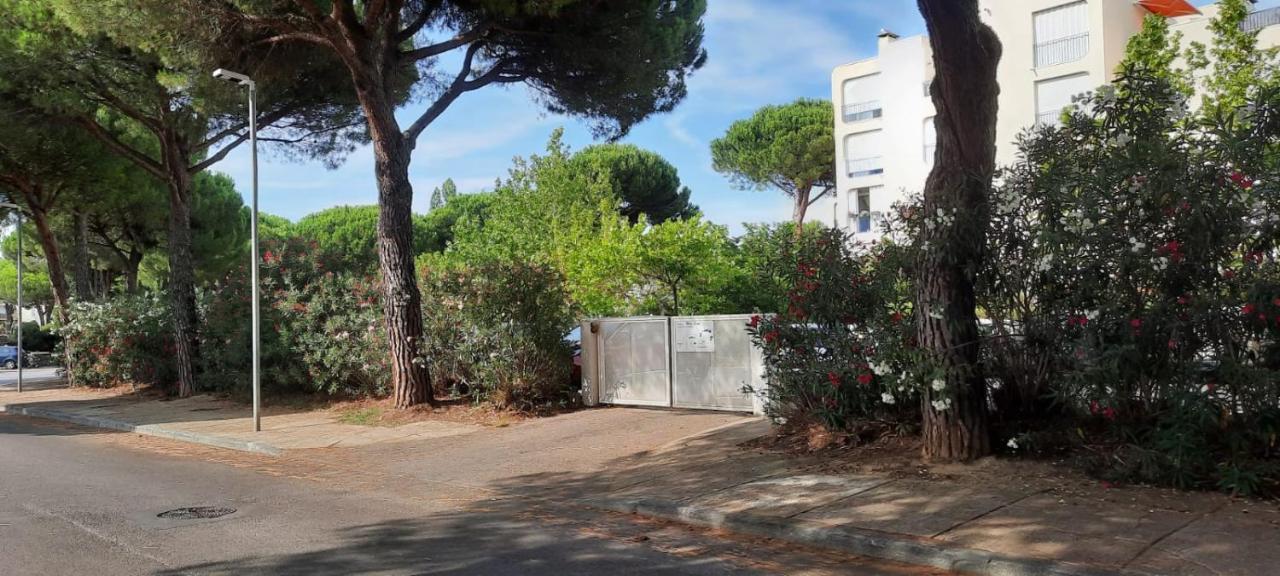 T 2 Mottland 300 M Plage La Grande-Motte Kültér fotó